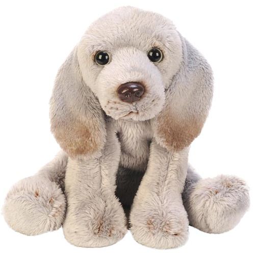 Sitting Weimaraner - Little Comfort Friend